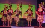 gallery/gal/Silver_Taps_Christmas_Show_2010/_thb_jungletwo.jpg